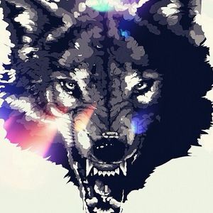 Meet your Posher, Dante